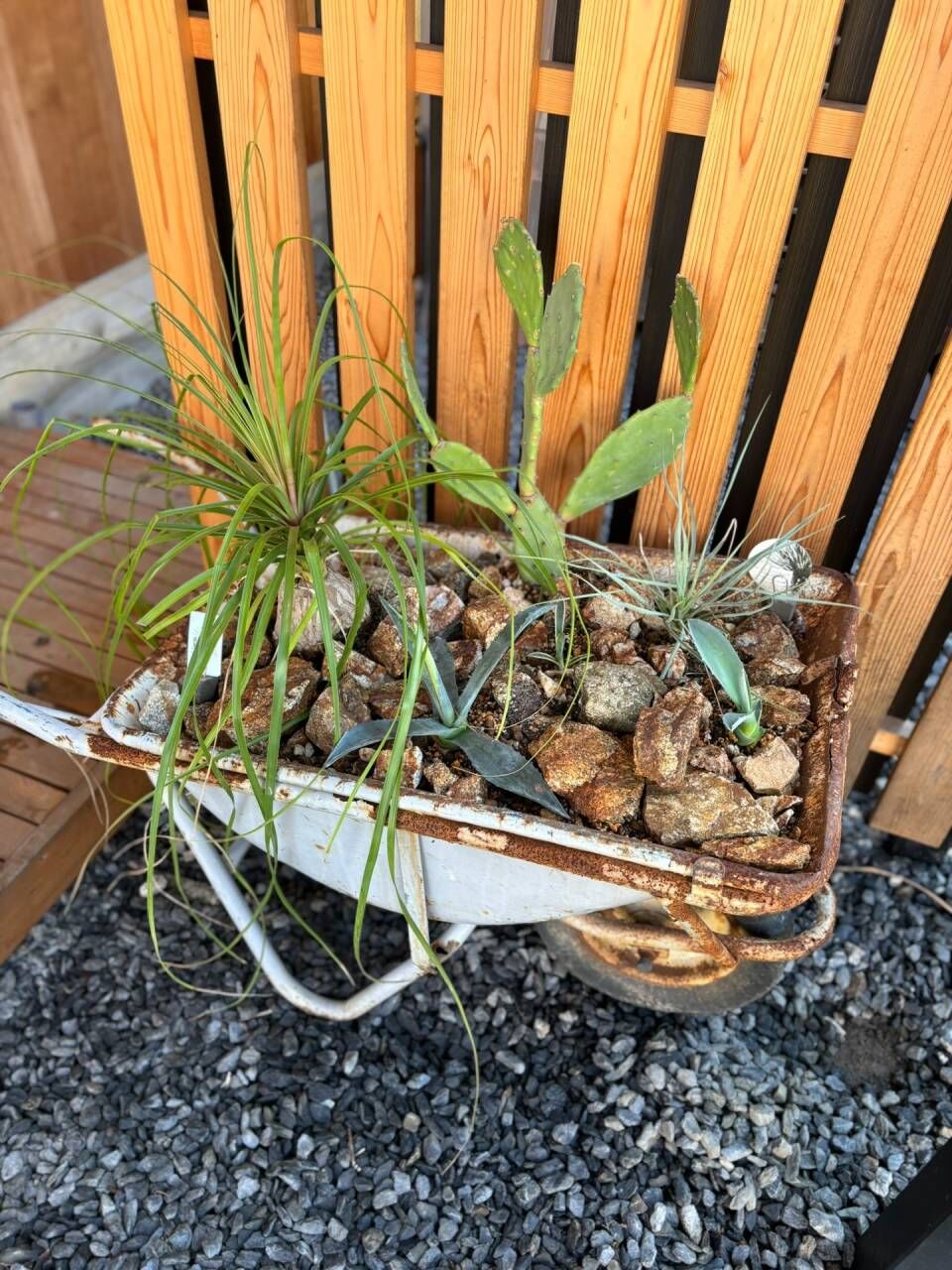 植栽日和　☆