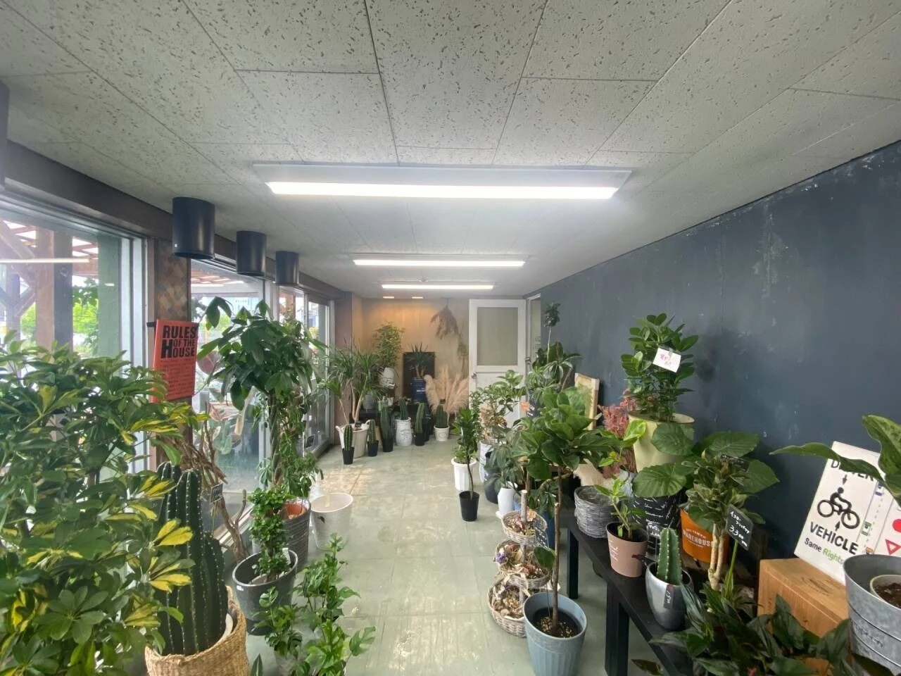 imgi_18_20230815161856