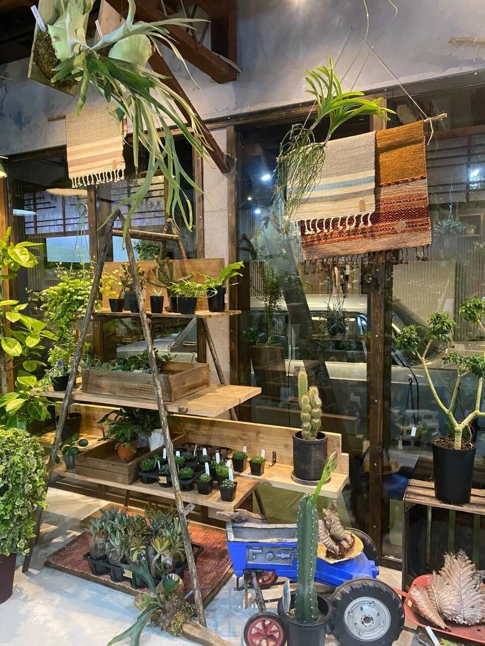 imgi_13_20240524203136