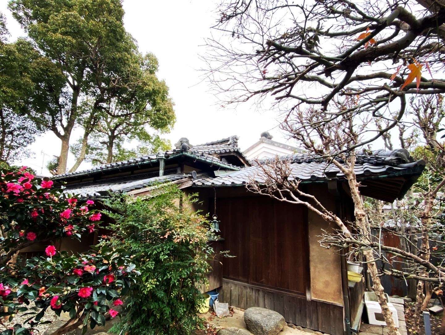 奈良県橿原市にてお茶室の屋根と樋の修繕工事をさせていただきました