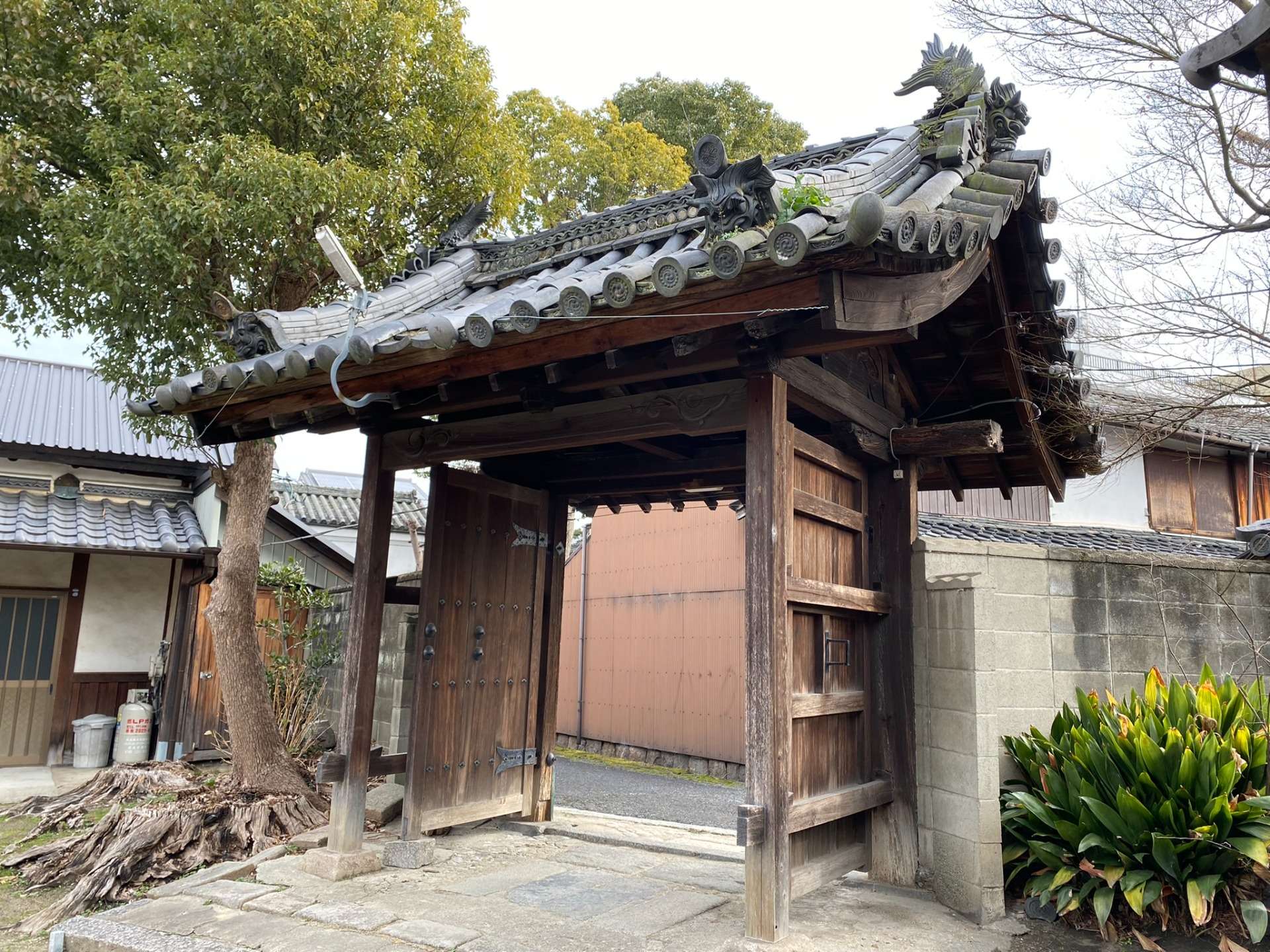 地元大和八木、恵比寿須神社の屋根の改修工事をさせていただいています。