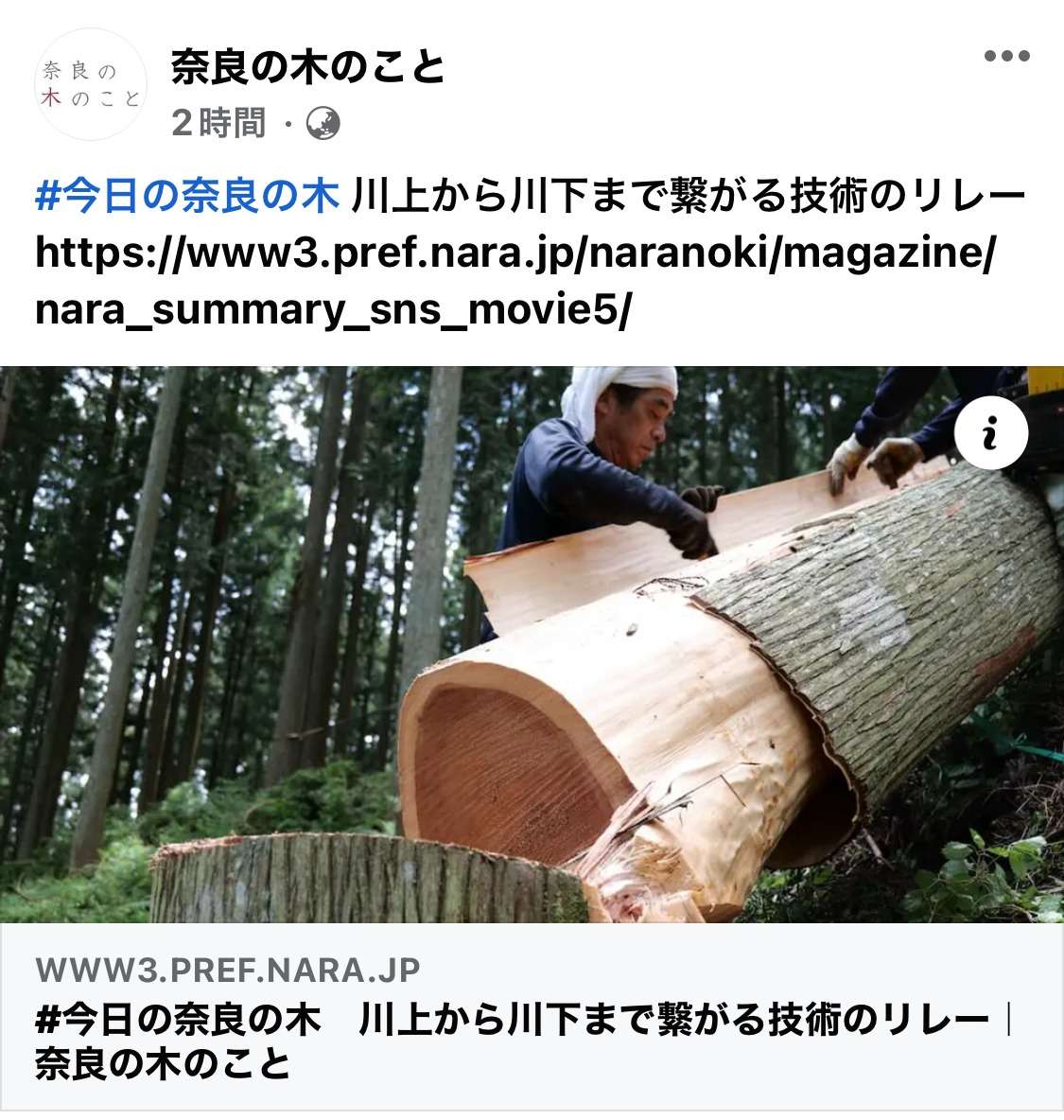 奈良の木のことにて今回も記事を掲載していただきました。